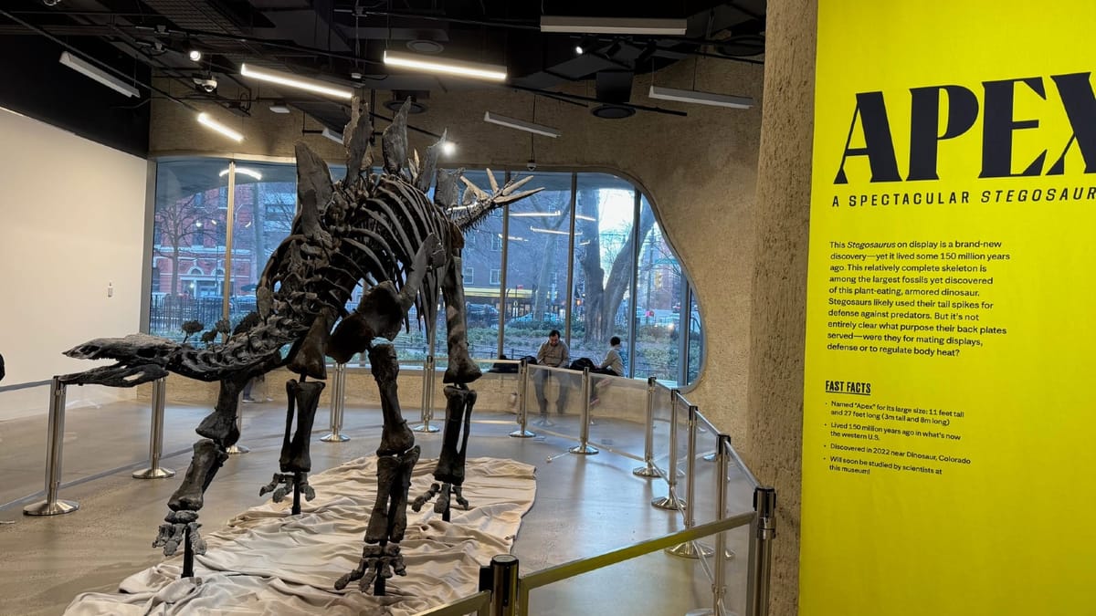 Below the Fold: A new series logging low-profile lawsuits involving museums