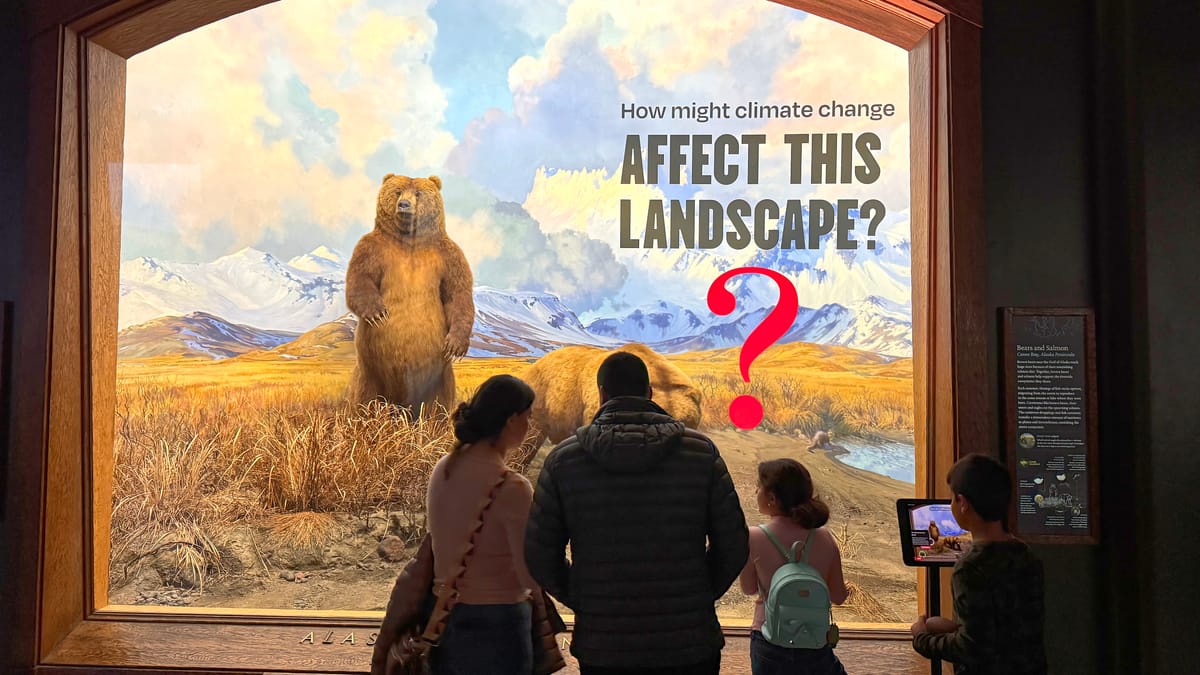 AMNH sues sightseeing pass company over $548K in unpaid tickets