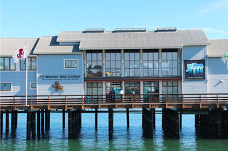 Exterior view of the Ty Warner Sea Center, a two-story light blue building on Stearns Wharf in Santa Barbara, with “Ty Warner Sea Center” signage visible above the pier.