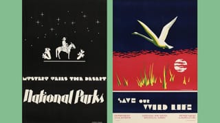 Two vintage 1930s posters: a desert night scene with a rider under stars, and a colorful wildlife poster with a flying swan over red water and grasses.