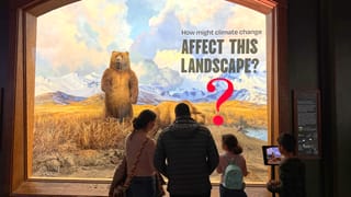 An interior view of the American Museum of Natural History