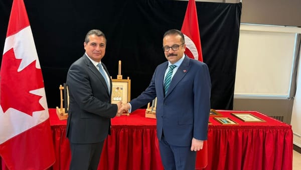 two diplomats shake hands in front of turkish cultural artifacts